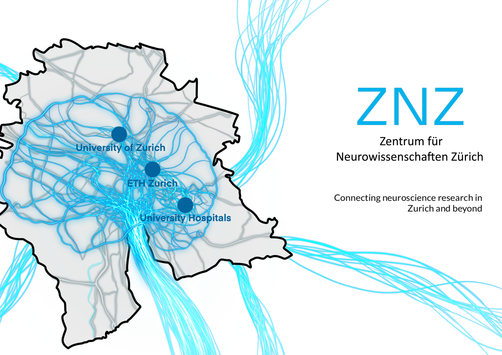 ZNZ main